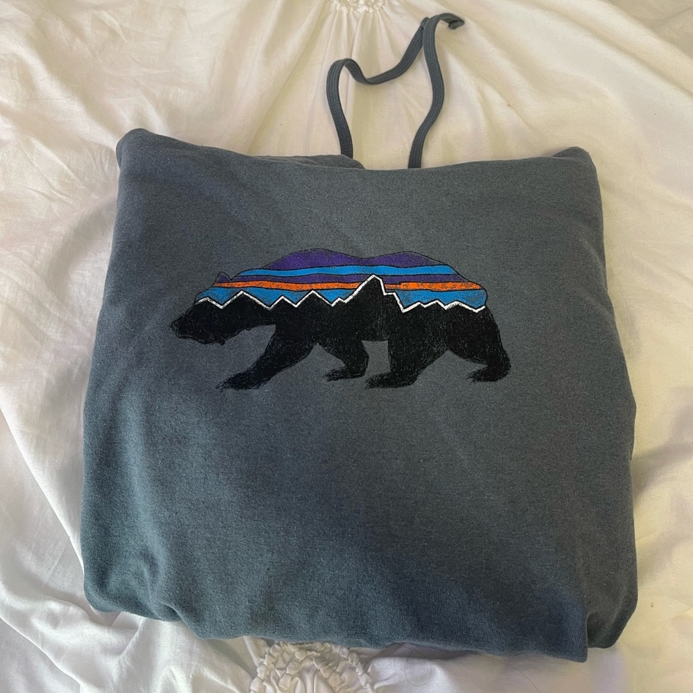 patagonia hoodie